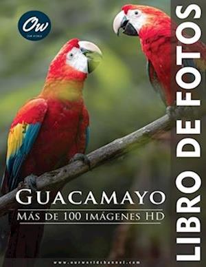 Guacamayo