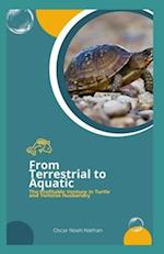 From Terrestrial to Aquatic: The Profitable Venture in Turtle and Tortoise Husbandry 
