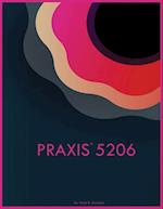 PRAXIS 5206 