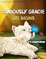 Curiously Gracie Life Begins 