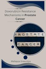 Doxorubicin Resistance Mechanisms in Prostate Cancer 