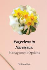 Potyvirus in Narcissus Management Options 