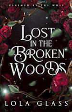 Lost in the Broken Woods 