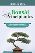 Bonsái para Principiantes