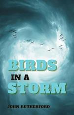 Birds in a Storm 