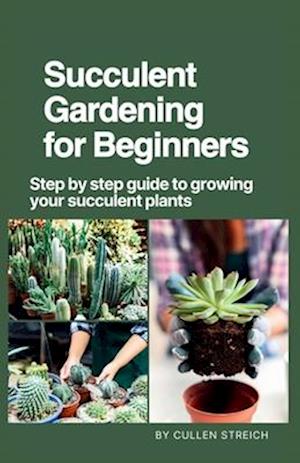 Succulent Gardening for Beginners