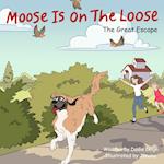 Moose Is On The Loose