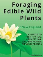 Foraging Edible Wild Plants of New England