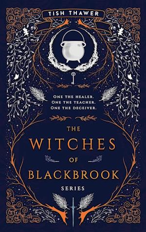 The Witches of BlackBrook Series Omnibus