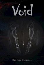 THE VOID