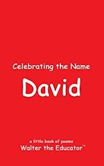 Celebrating the Name David