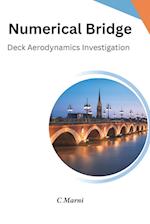 Numerical Bridge Deck Aerodynamics Investigation