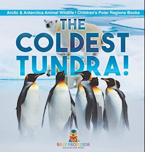 The Coldest Tundra! | Arctic & Antarctica Animal Wildlife | Children's Polar Regions Books