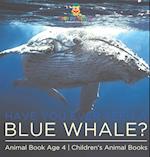 Have You Ever Seen A Blue Whale? Animal Book Age 4 | Children's Animal Books