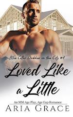 Loved Like a Little: An M/M Age Play Daddy Romance 