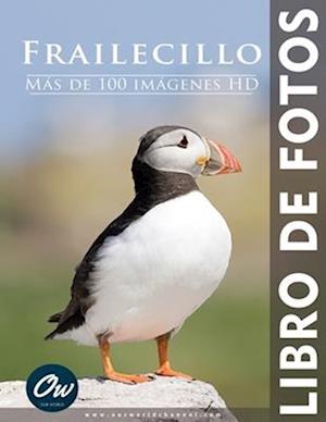 Frailecillo