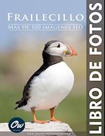 Frailecillo