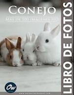 Conejo