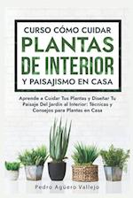 Curso sobre Cómo Cuidar Plantas de Interior y Paisajismo en Casa