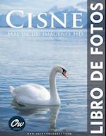 Cisne