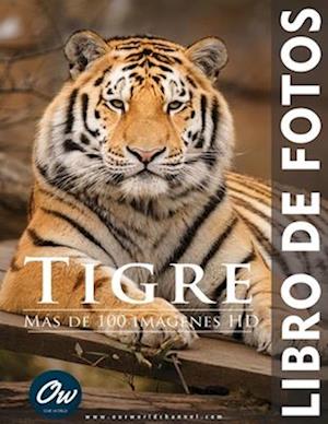 Tigre