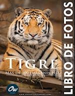 Tigre