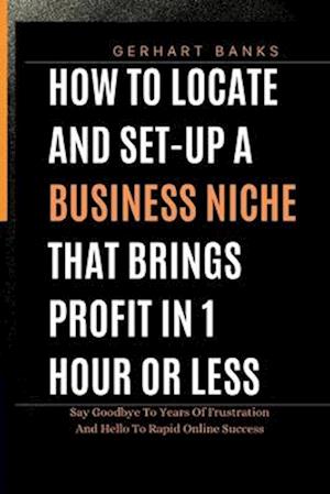 HOW TO LOCATE AND SET-UP A BUSINESS NICHE THAT BRINGS PROFIT IN 1 HOUR OR LESS: Say Goodbye To Years Of Frustration And Hello To Rapid Online Success