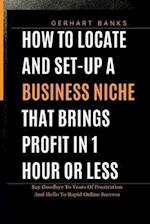 HOW TO LOCATE AND SET-UP A BUSINESS NICHE THAT BRINGS PROFIT IN 1 HOUR OR LESS: Say Goodbye To Years Of Frustration And Hello To Rapid Online Success 