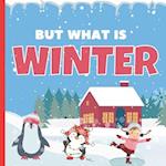 But What Is Winter?: A Fun Introduction to Cold & Holiday Season Picture Book Featuring Different Activities For Preschoolers, Toddlers & Kindergartn