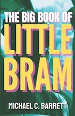 The Big Book of Little Bram