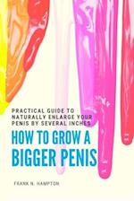 How to Grow a Bigger Penis: Practical Guide to Naturally Enlarge Your Penis by Several Inches 