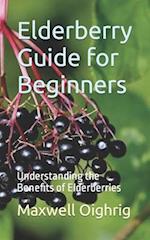 Elderberry Guide for Beginners: Understanding the Benefits of Elderberries 