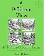 A Different View Volume One