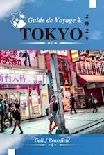 Guide de Voyage À Tokyo 2024