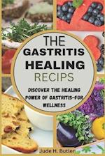 Healing Your Stomach: Gastritis Recipes for Wellness: Discover the Healing Power of Gastritis-Focused Cuisine 