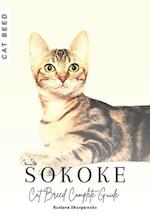SOKOKE CAT: Cat Breed Complete Guide 