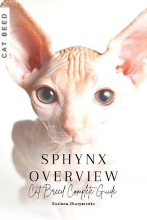Sphynx Overview: Cat Breed Complete Guide