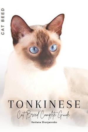 Tonkinese: Cat Breed Complete Guide