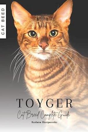 Toyger: Cat Breed Complete Guide