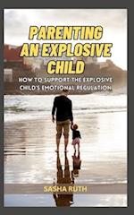 Parenting an Explosive Child: How to Support the Explosive Child's Emotional Regulation 