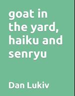 goat in the yard, haiku and senryu 