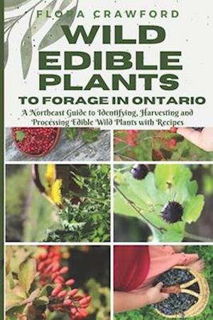 WILD EDIBLE PLANTS TO FORAGE IN ONTARIO: A Northeast Guide to Identifying, Harvesting and Processing Edible Wild Plants with Recipes