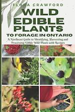 WILD EDIBLE PLANTS TO FORAGE IN ONTARIO: A Northeast Guide to Identifying, Harvesting and Processing Edible Wild Plants with Recipes 