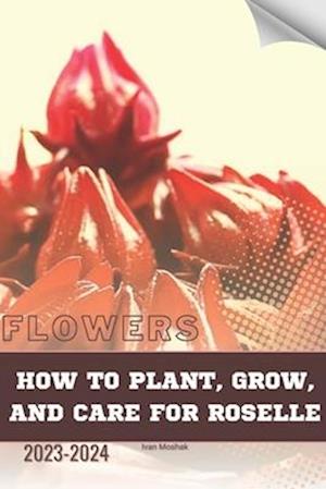 How to Plant, Grow, and Care for Roselle: Become flowers expert