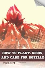 How to Plant, Grow, and Care for Roselle: Become flowers expert 