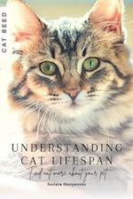 Understanding Cat Lifespan: Find out more about your pet 