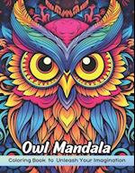 Owl Mandala Coloring Book: Beautiful Mandala Patterns for Relaxation, Stress Relief and Fun, Owl Mandala Coloring Pages 