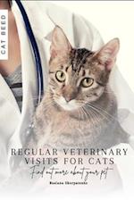 Regular Veterinary Visits for Cats
