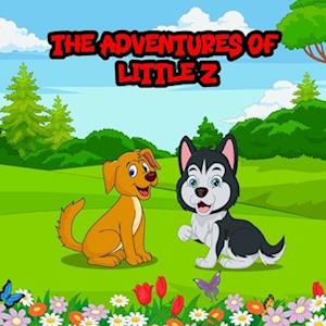 The Adventures of Little Z