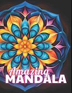 Amazing Mandalas Coloring Book: High Quality +100 beautiful desings for all ages, A lot of Fun 